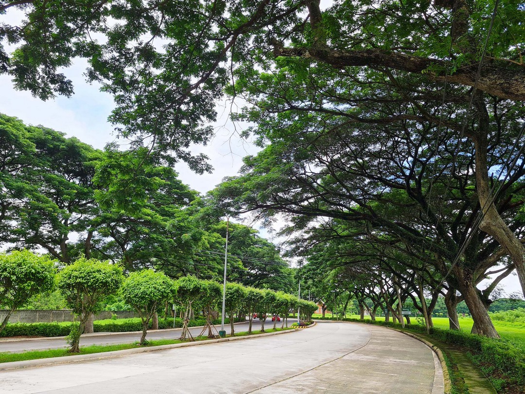 Tree-lined avenues of century-old acacias, pines, and plants endemic to the province, warmly welcome residents and visitors home.